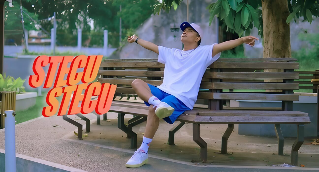 stecu stecu lagu viral indonesia