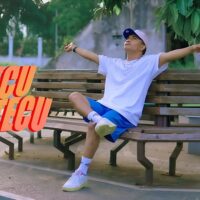 stecu stecu lagu viral indonesia