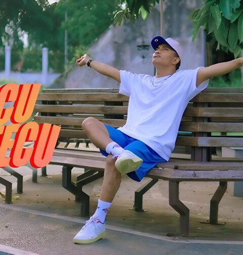 stecu stecu lagu viral indonesia