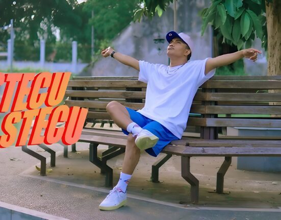 stecu stecu lagu viral indonesia